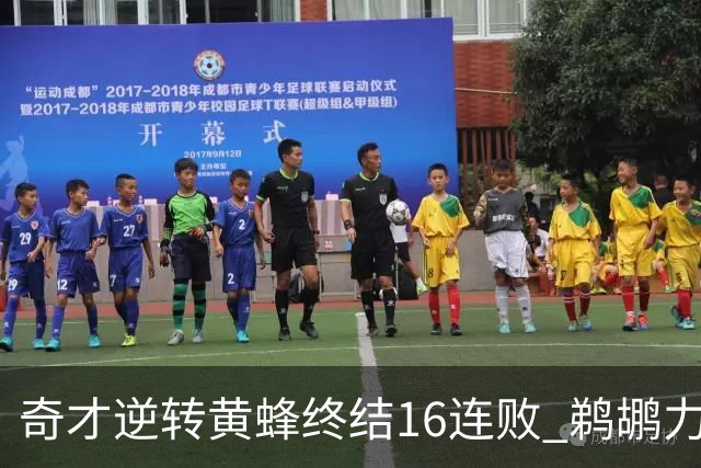 奇才逆转黄蜂终结16连败 鹈鹕力克76人3连胜